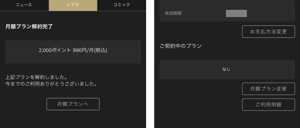 クランクインビデオ　解約