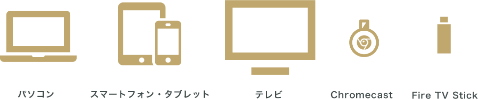 テレビの大画面でも楽しめる